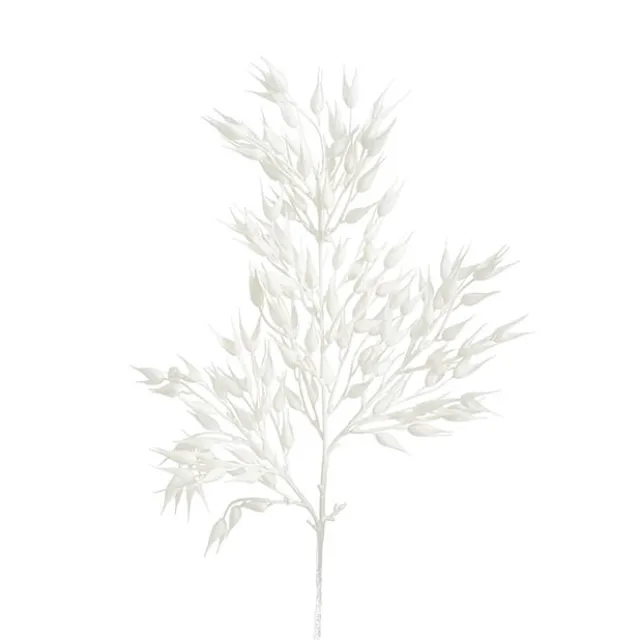 Coix Seed Grass Spray White (65cmH)