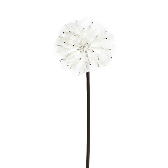 Large Dandelion Stem Creamy White (12cmDx69cmH)