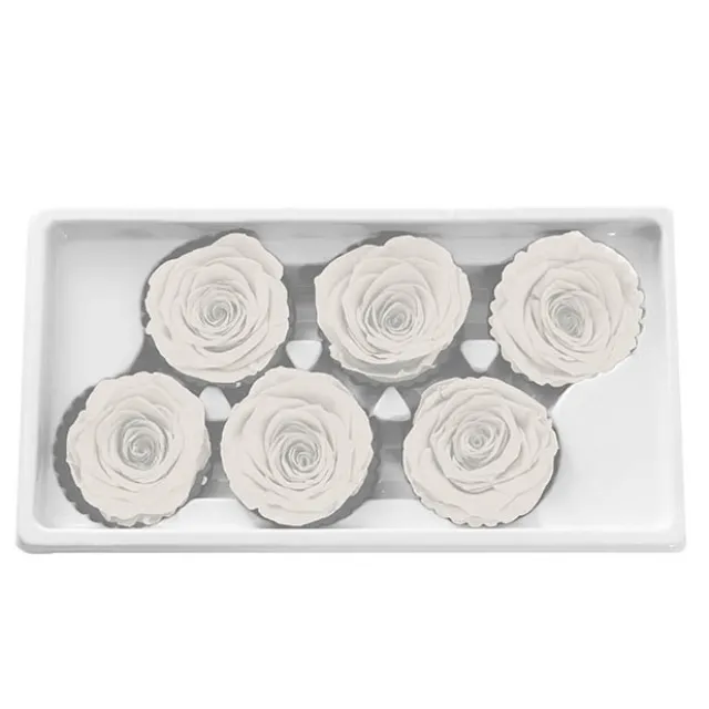 Amore Forever Rose Heads Pack 6 White (5-6cmD)