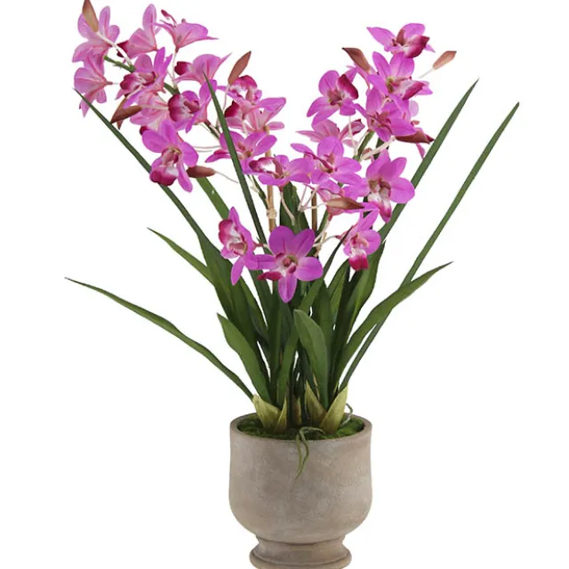 Dendrobium Orchid Real Touch 3 Stem Potted Magenta (61cmH)