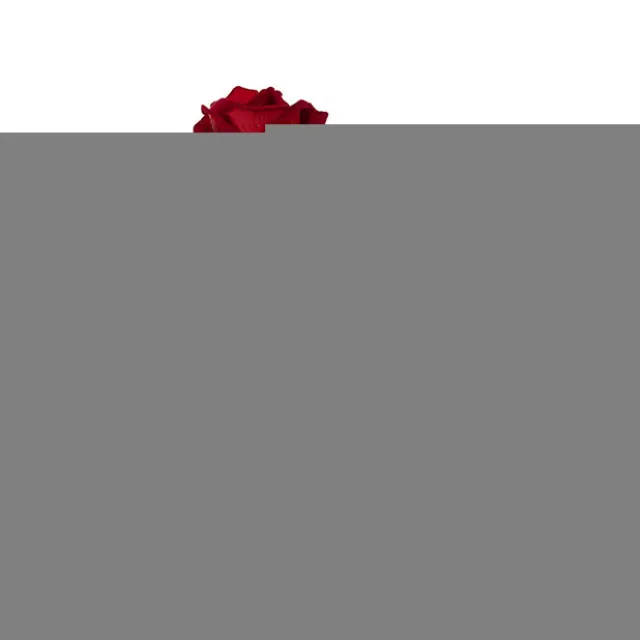 Velvet Rose x 9 Heads Bouquet Dark Red (9cmDx44cmH)