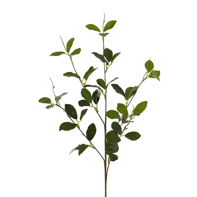 Banyan Leaf Spray Green (84cmH)