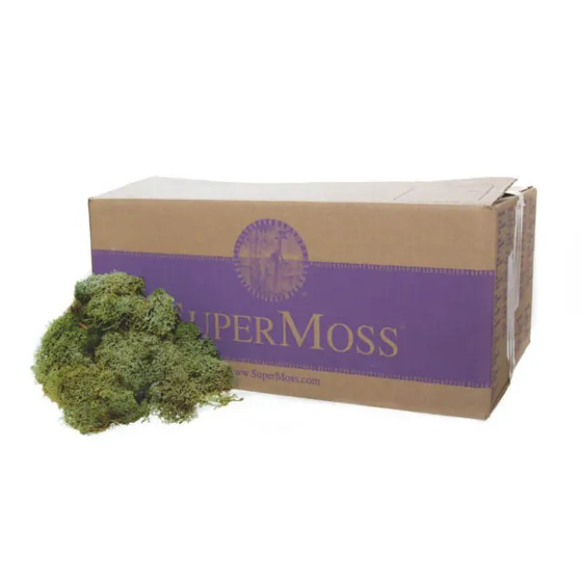 Reindeer Moss Preserved Bulk Moss Dark Green (3lb 1.36kg)