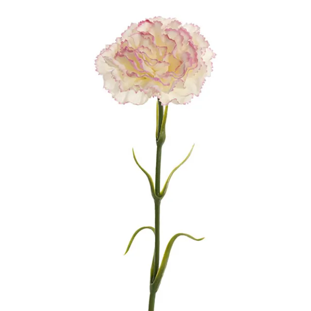 Real Touch Ruffle Carnation Stem Pink Cream (9cmDx52cmH)