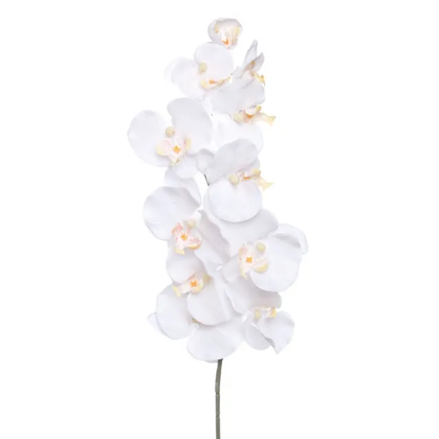 Phalaenopsis Orchid White (90cmH)