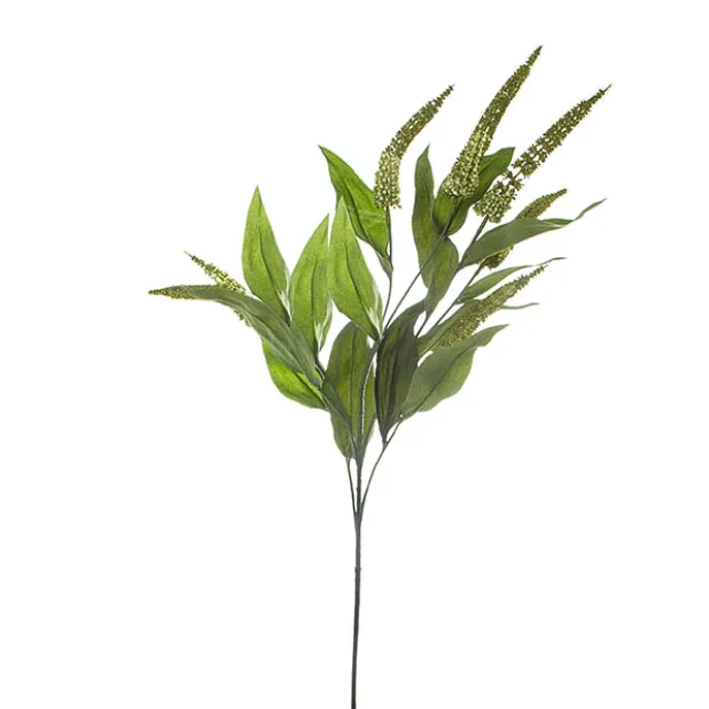 Cascara Berry Spray x7 Green (84cmH)