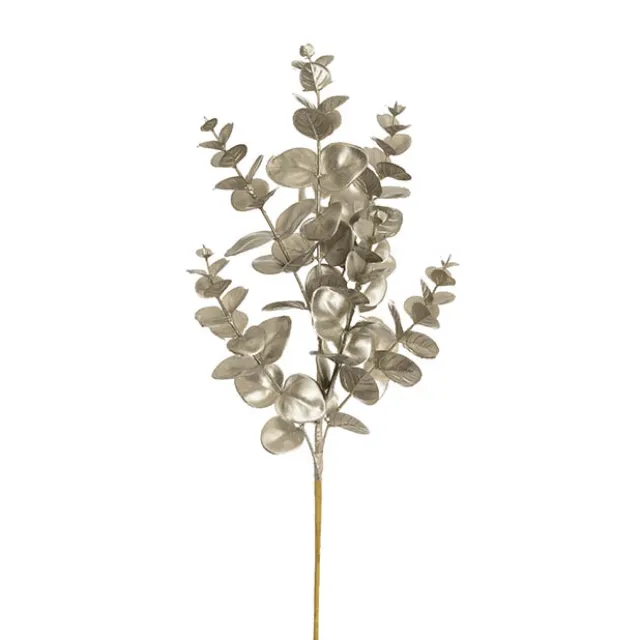 Eucalyptus Leaf Spray Champagne (62cmH)