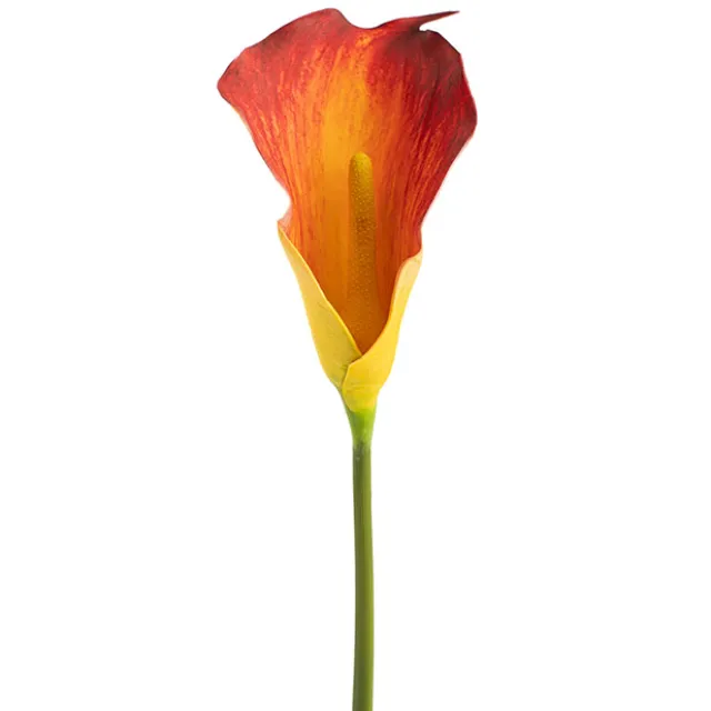 Real Touch Calla Lily Orange Yellow (72cmH)