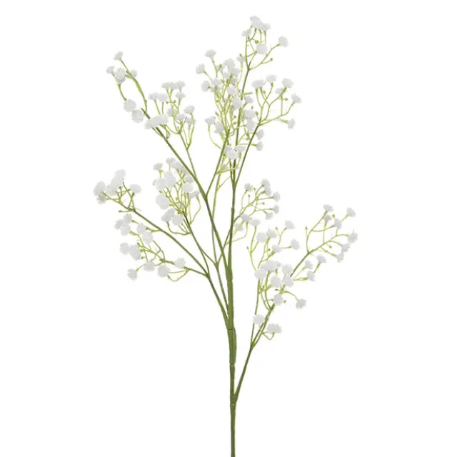 Gypsophila Baby's Breath Spray White (62cmH)
