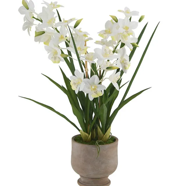 Dendrobium Orchid Real Touch 3 Stem Cement Pot White (61cmH)