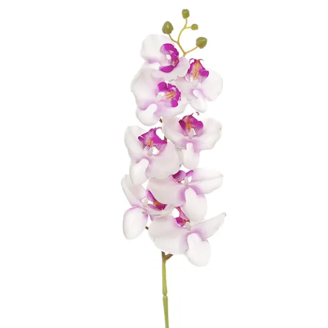 Phalaenopsis Orchid Real Touch 8 Flowers Pink (97cmH)