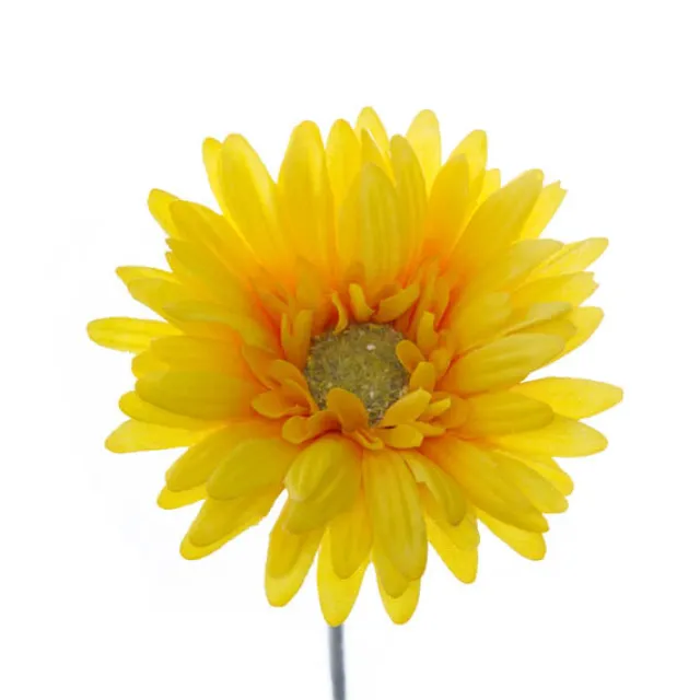 Gerbera Aztec Bright Yellow (10cmDx54cmH)