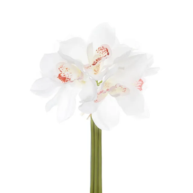 Cymbidium Orchid Bouquet Real Touch 6 Flowers White (25cmH)