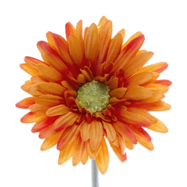Gerbera Aztec Orange (10cmDx54cmH)