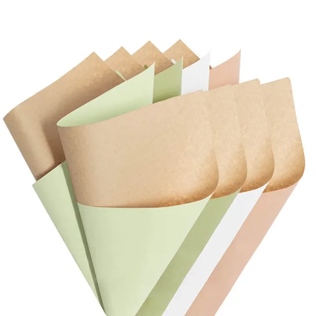 Kraft Paper Duo 80gsm Sampler Pack 100 (50x70cm)