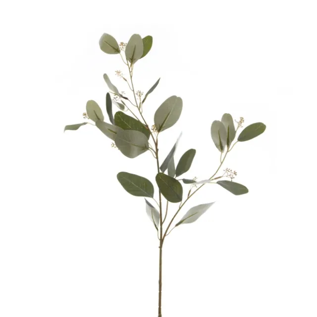 Eucalyptus Seeded Spray Green (72cmH)