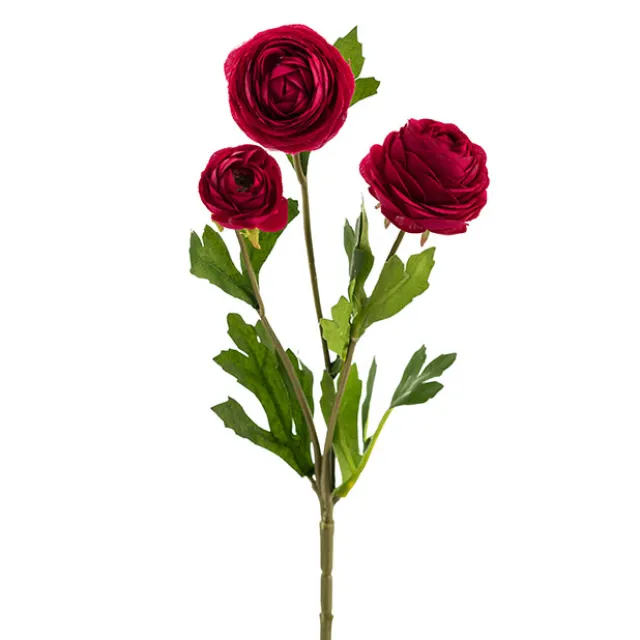 Petite Ranunculus Spray Dark Rouge Red (42cmH)