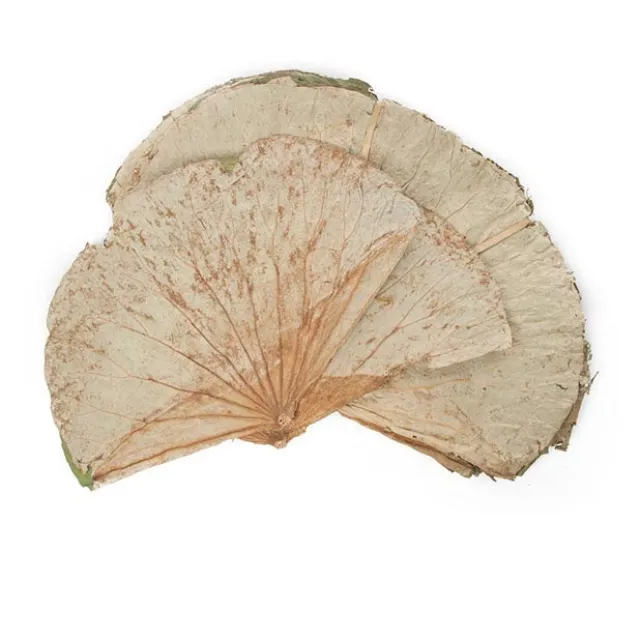 Dried Lotus Leaves 400gm up to 30 Leaves