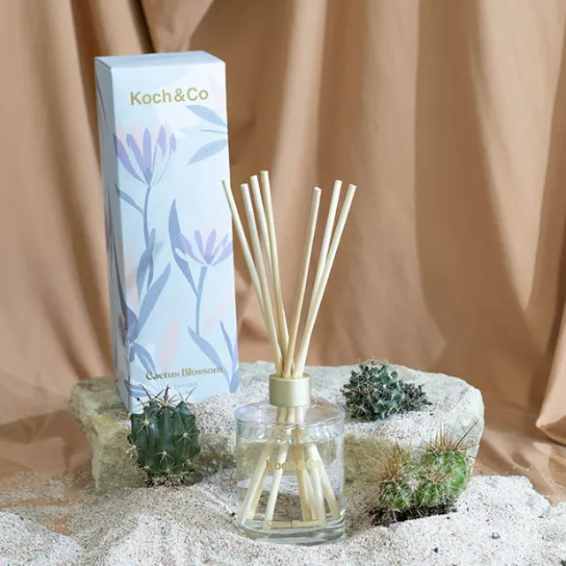 Premium Fragrance Diffuser Leisure Cactus Blossom 250ml