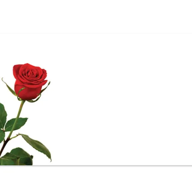 Cards Rose Bud Single (10x6.5cmH) Pack 50