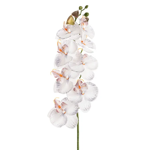 Phalaenopsis Orchid Real Look 8 Flowers White Grey (78cmH)