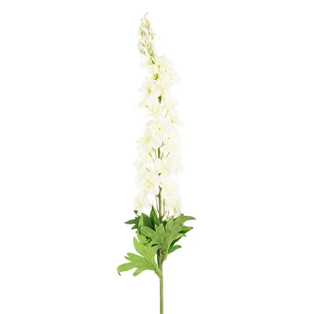 Delphinium Stem White (108cmH)