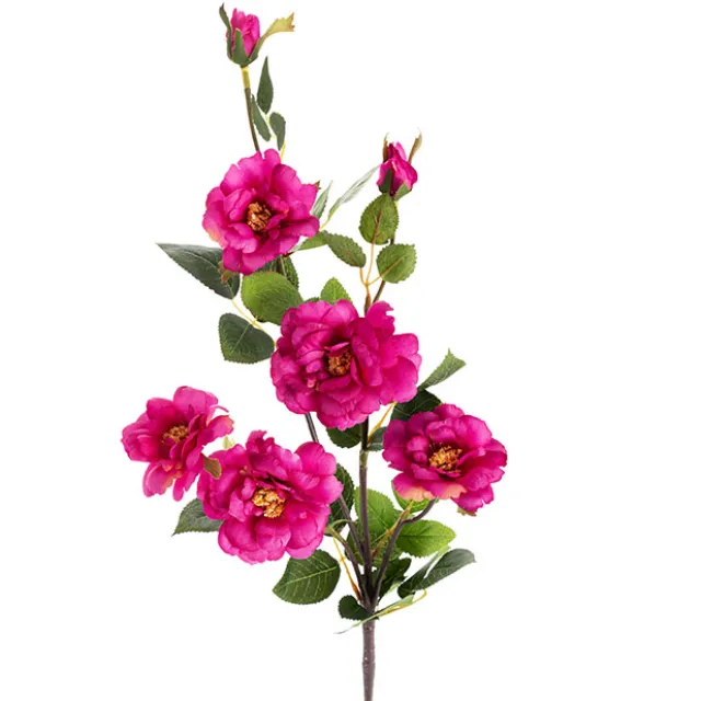 Iceland Rose Spray x 7 Head Fuchsia (72cmH)