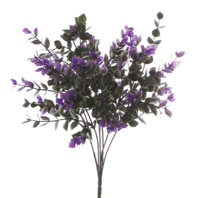 Eucalyptus Bunch Purple (30cmH)