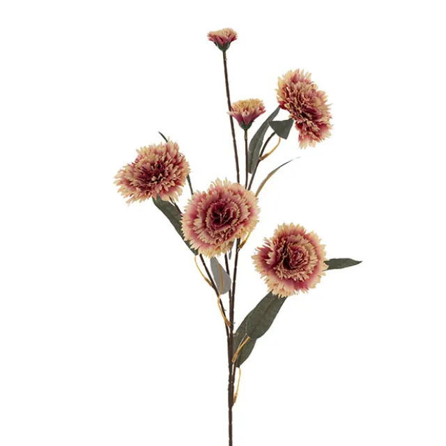 Dianthus Flower Spray Beige Pink (75cmH)