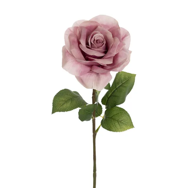 Holland Rose Open Soft Orchid (15cmDx67cmH)