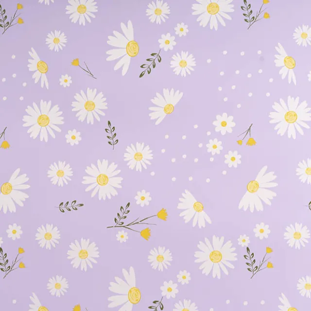 Cello Regal Pro 65mic Daisy Daze Periwinkle Pk100 (50x70cm)