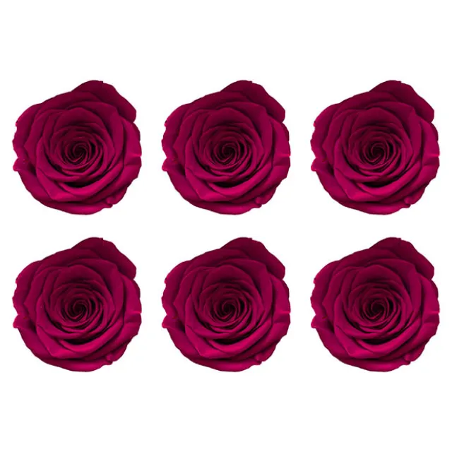 Amore Forever Rose Heads Pack 6 Hot Pink (5-6cmD)