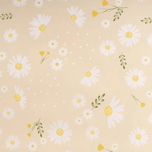 Cello Regal Pro 65mic Daisy Daze Buttercream Pk100 (50x70cm)