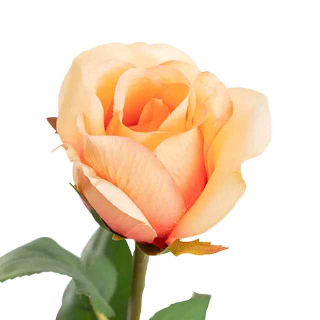 Siena Silk Rose Large Bud Half Open Peach (66cmH)