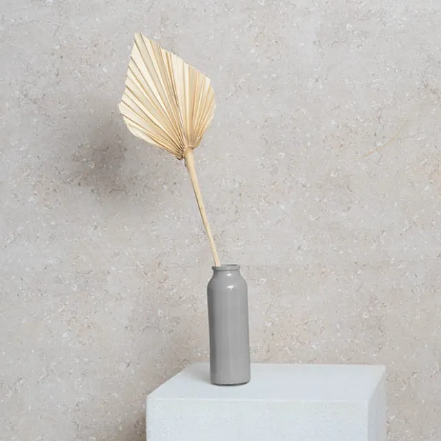 Preserved Dried Palm Spear Leaf Light Beige (45-50cmH)