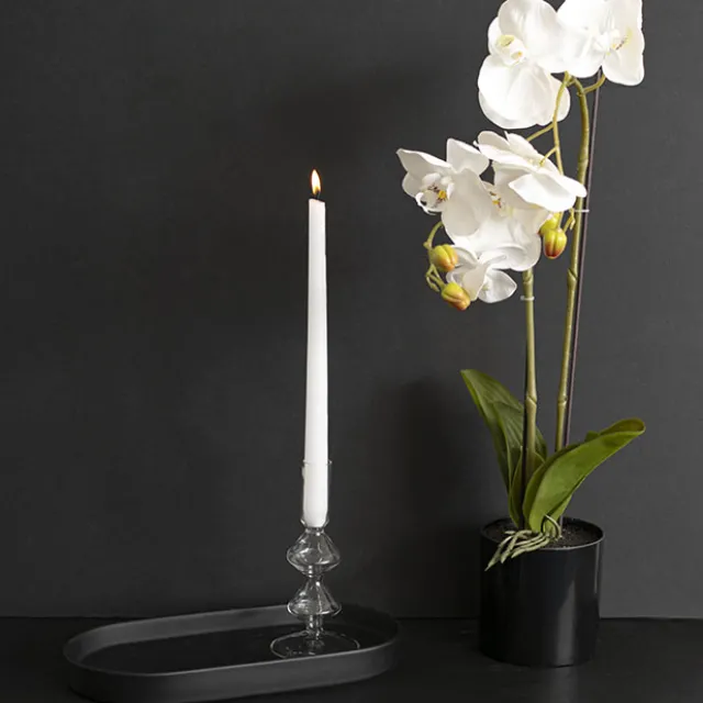 Glass Palma Dinner Taper Candle Holder (8x17.5cmH)