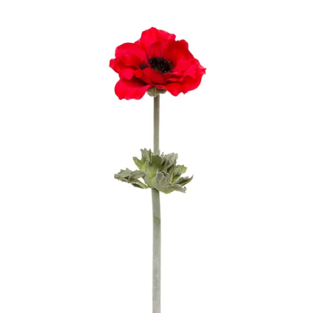 Poppy Flanders with Black Centre (55cmH) Red