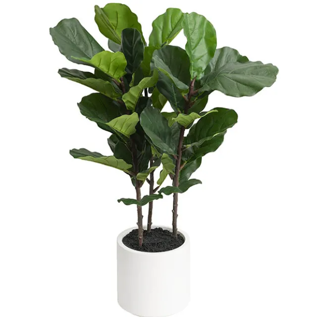 Real Touch Fiddleleaf Tree in White Pot Green (90cmH)