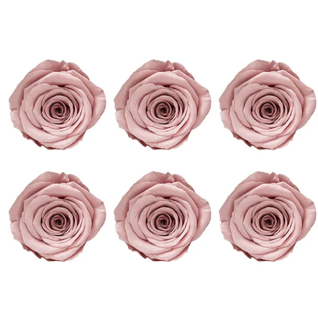 Amore Forever Rose Heads Pack 6 Dusty Pink (5-6cmD)