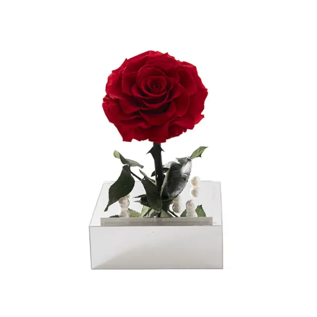 Amore Forever Rose Single Stem Acrylic Box Red (13x22cmH)