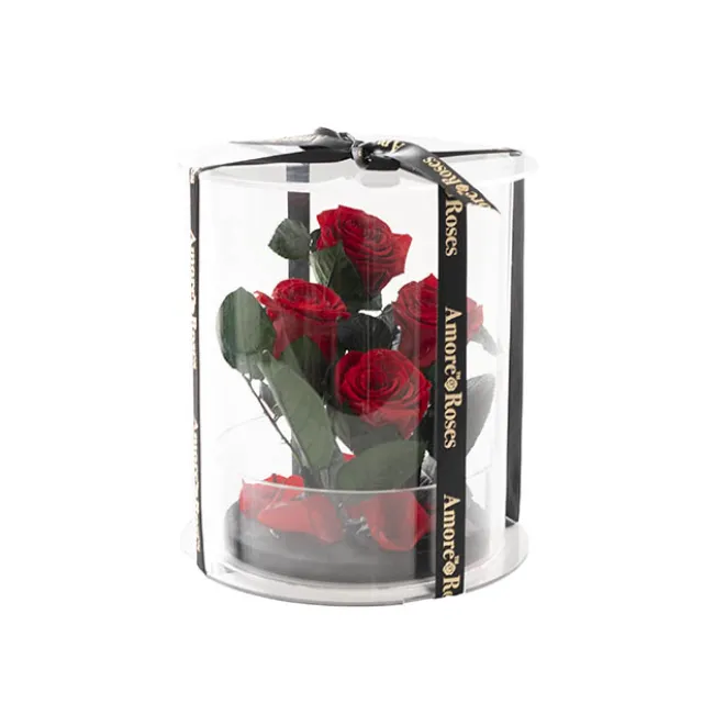 Amore Forever Rose x4 Stem Acrylic Box Red (20Dx17cmH)