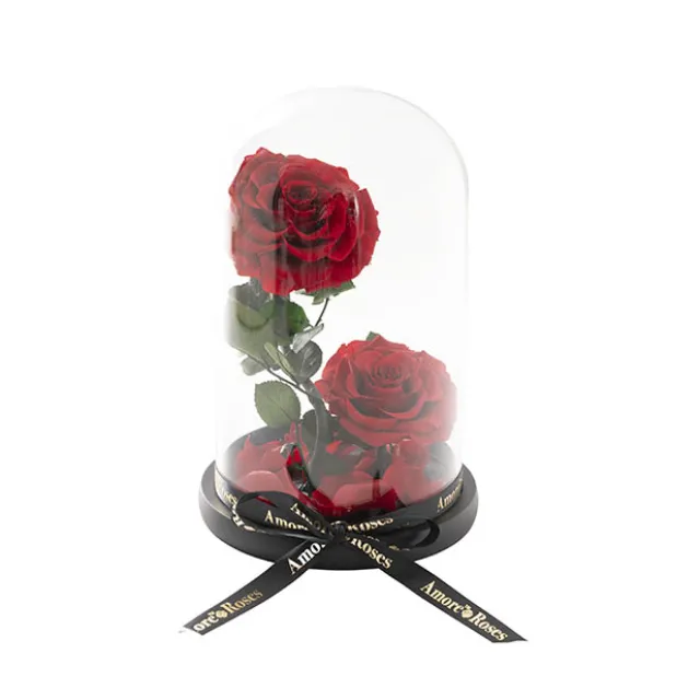 Amore Forever Rose x2 Stem Cloche Red (17Dx26cmH)