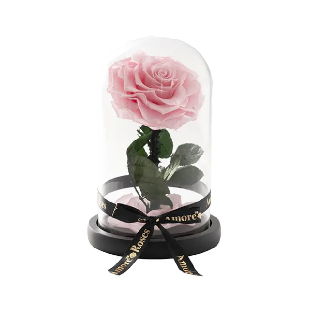 Amore Forever Rose Single Stem Cloche Pink (12cmDx20cmH)
