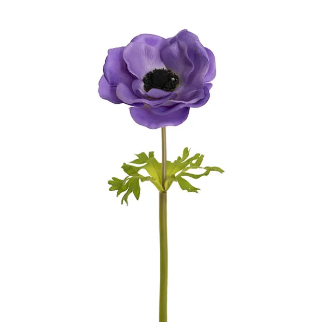 Anemone Flower Stem Purple (14cmDx57cmH)
