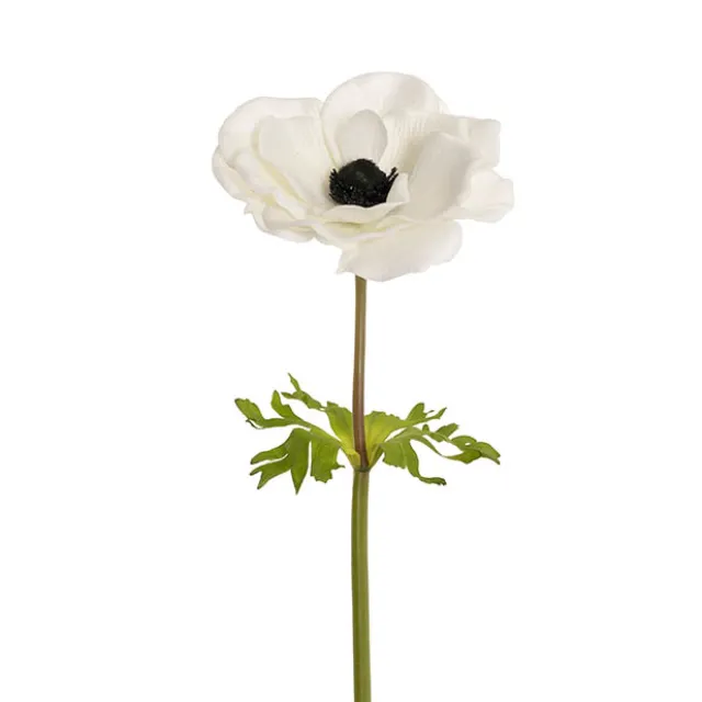 Anemone Flower Stem White (14cmDx57cmH)