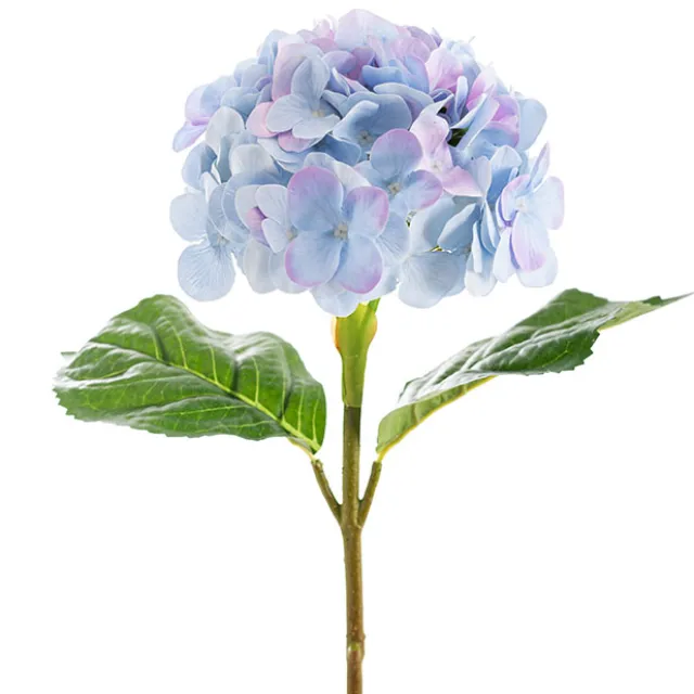 Annabelle Hydrangea Stem Soft Blue Purple (19cmDx55cmH)