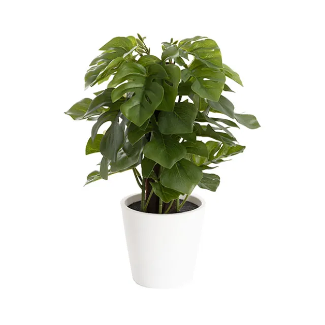 Artificial Monstera Potted Plant Green (25cmH)
