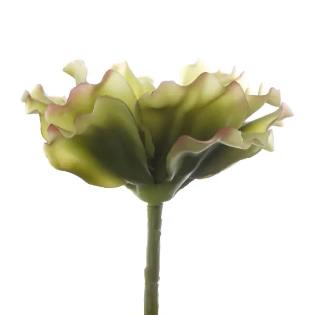 Artificial Succulent Ruffle Flower Green (12x18cmH)