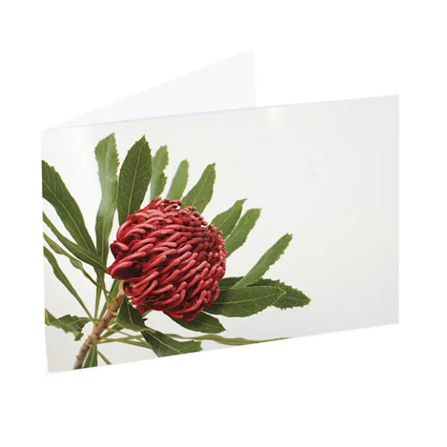 Artisan Gift Card & Envelope Waratah Red Pk25 (10x6.5cmH)