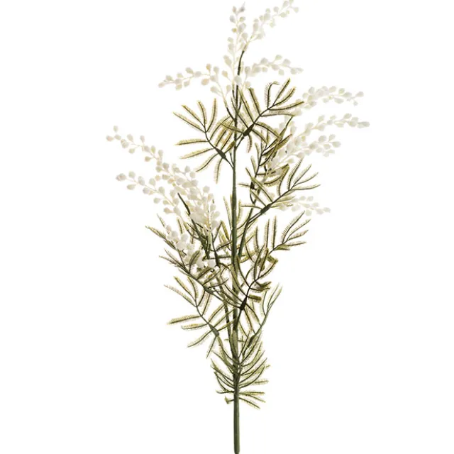 Australian Native Wattle White (85cmH)